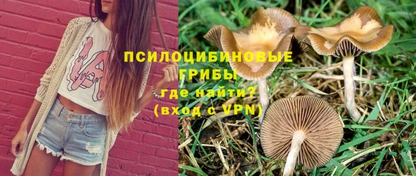хмурый Протвино