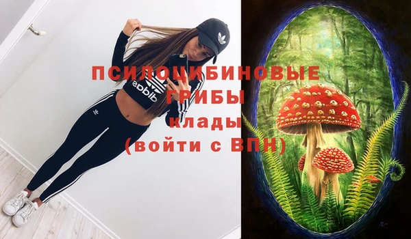 стафф Пролетарск