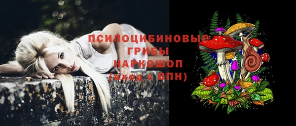 спайс Приозерск