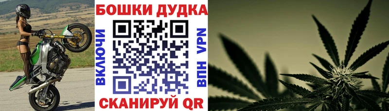 Канабис OG Kush  наркотики  KRAKEN как зайти  Подпорожье 